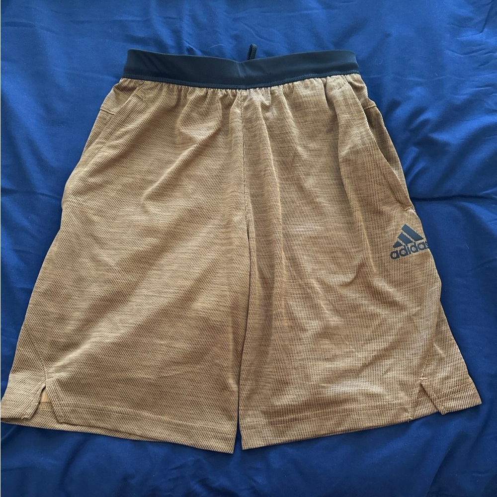 Adidas Beige Athletic Men's Shorts